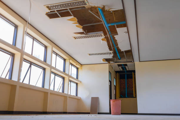 Best Local water damage restoration  in Luling, TX