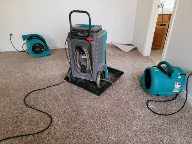 Best Water damage restoration near me  in Luling, TX