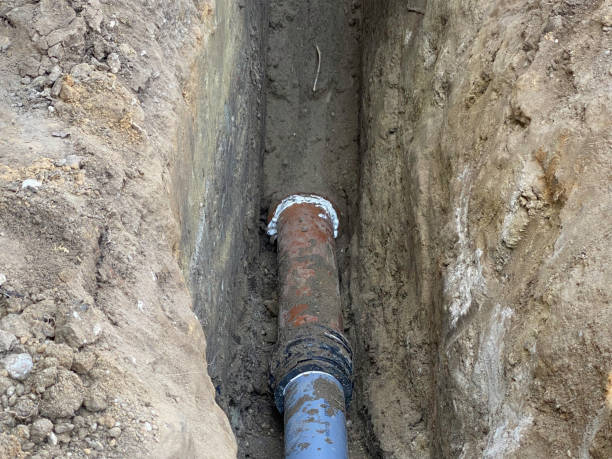 Best Professional water damage repair  in Luling, TX
