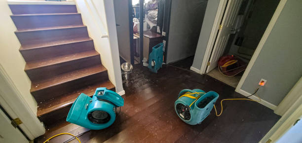 Best Basement water damage restoration  in Luling, TX