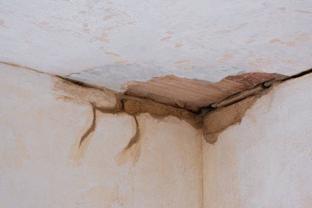 Best Basement water damage restoration  in Luling, TX