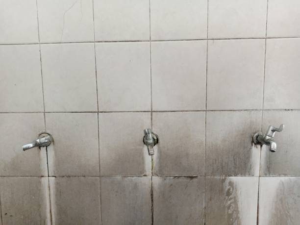 Best Water damage contractors near me  in Luling, TX