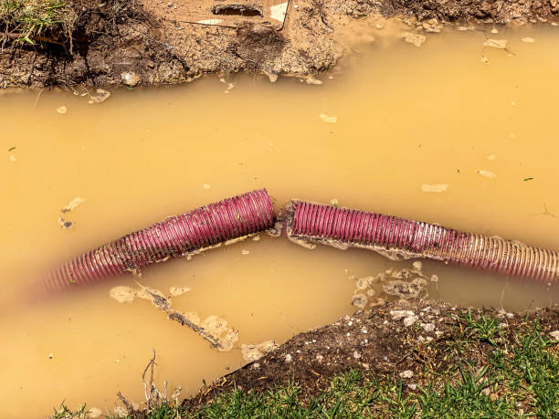 Best Flood restoration services  in Luling, TX