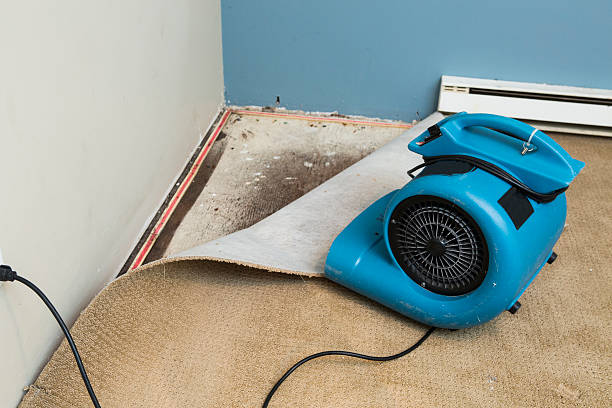Best Water damage repair service  in Luling, TX